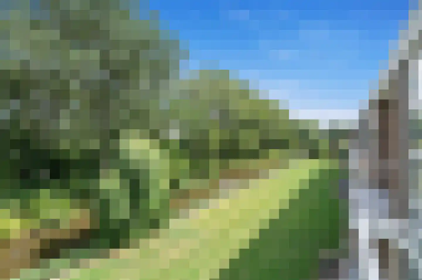Jeroen Boschstraat 33 Maassluis thumbnail 27