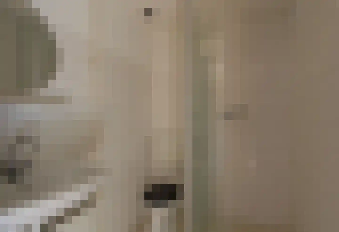 Jeroen Boschstraat 44 Kaatsheuvel thumbnail 17