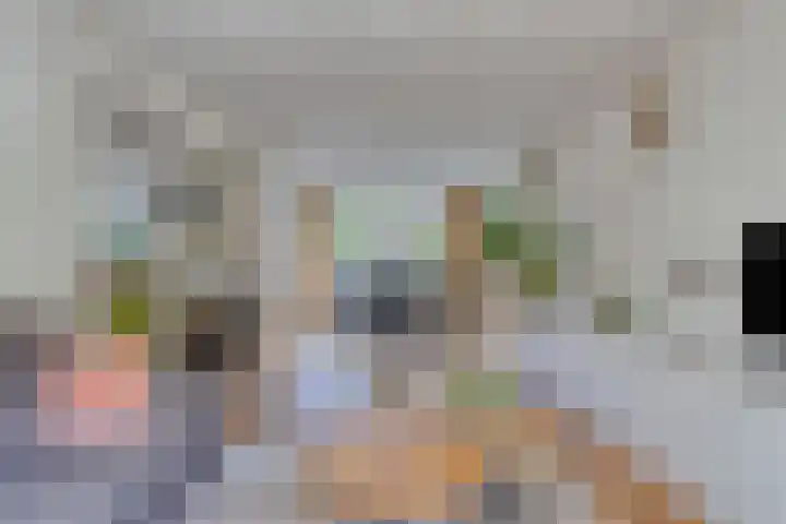 Jeroen Boschstraat 5 Oisterwijk thumbnail 10