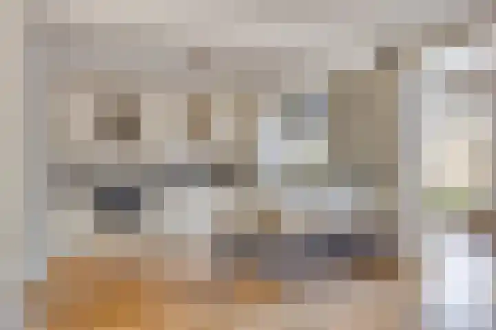 Jeroen Boschstraat 5 Oisterwijk thumbnail 11