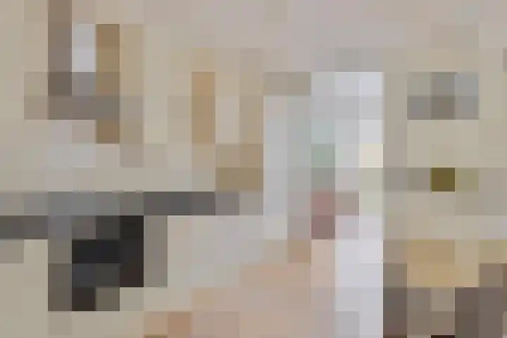 Jeroen Boschstraat 5 Oisterwijk thumbnail 12
