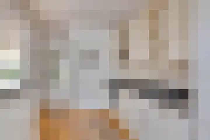 Jeroen Boschstraat 5 Oisterwijk thumbnail 13
