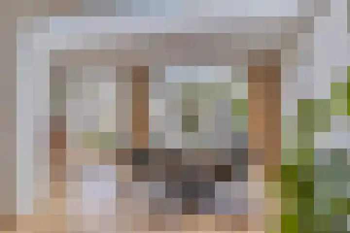 Jeroen Boschstraat 5 Oisterwijk thumbnail 15