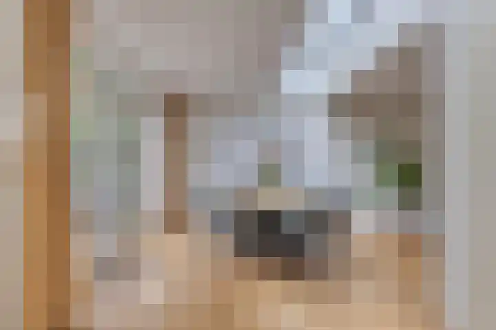 Jeroen Boschstraat 5 Oisterwijk thumbnail 16