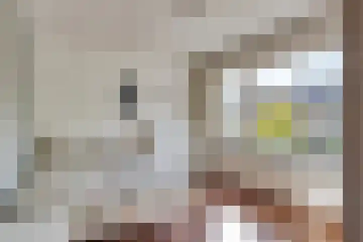 Jeroen Boschstraat 5 Oisterwijk thumbnail 19