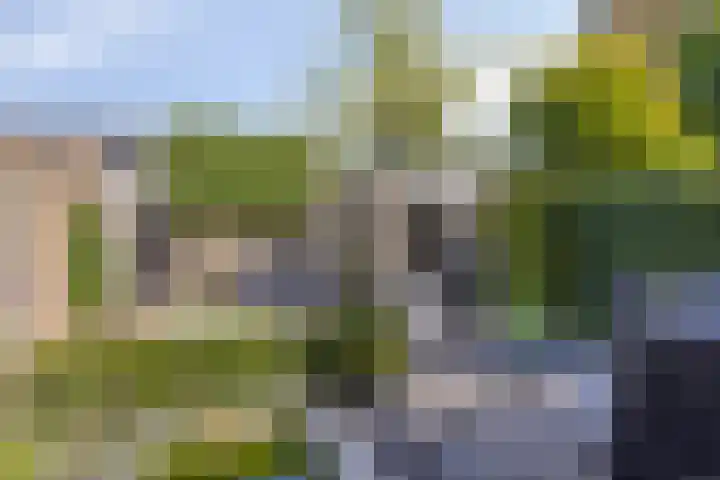 Jeroen Boschstraat 5 Oisterwijk thumbnail 30