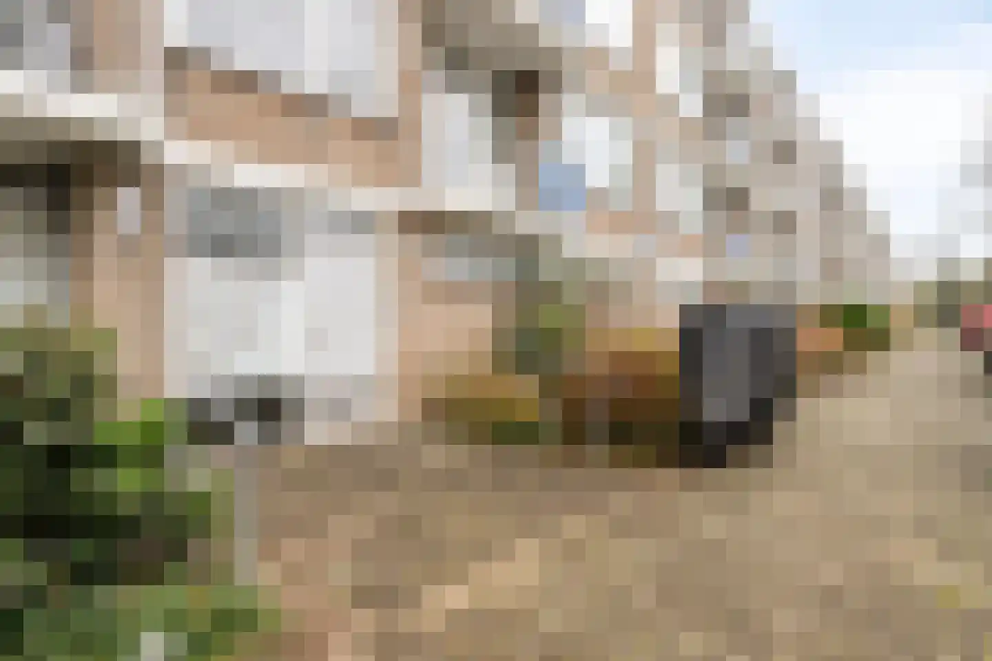 Jeroen Boschstraat 53 Maassluis thumbnail 20