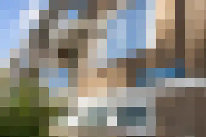 Jeroen Boschstraat 55 Maassluis thumbnail 9