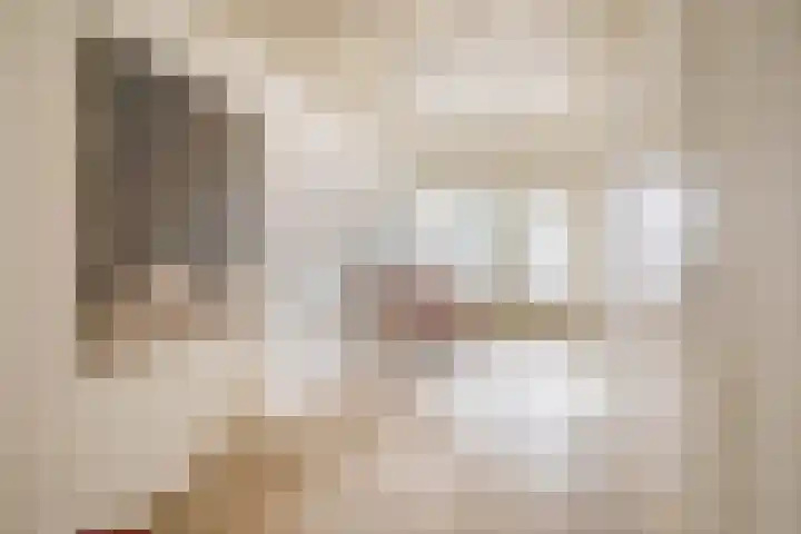 Jeroen Boschstraat 6 Oosterhout thumbnail 12
