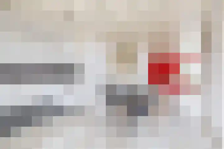 Jeroen Boschstraat 6 Oosterhout thumbnail 15