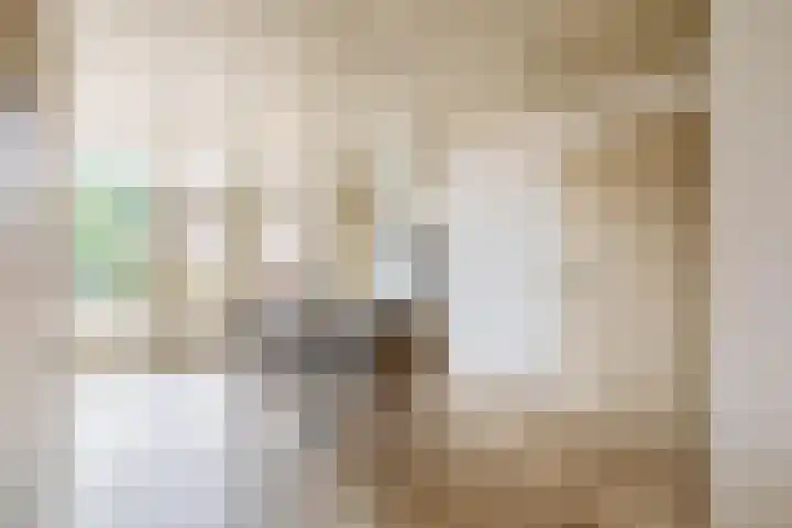 Jeroen Boschstraat 6 Oosterhout thumbnail 16