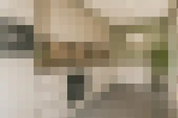 Jeroen Boschstraat 6 Oosterhout thumbnail 18