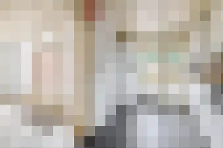 Jeroen Boschstraat 6 Oosterhout thumbnail 20