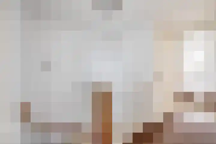 Jeroen Boschstraat 6 Oosterhout thumbnail 26