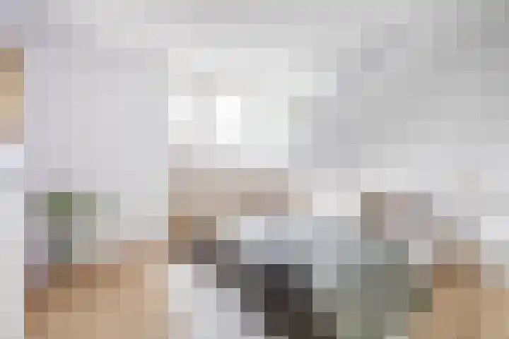 Jeroen Boschstraat 6 Oosterhout thumbnail 28