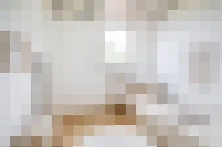 Jeroen Boschstraat 6 Oosterhout thumbnail 29