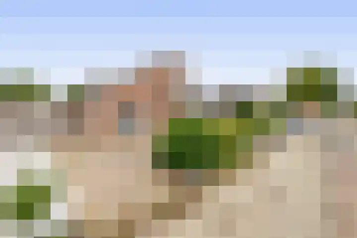 Jeroen Boschstraat 6 Oosterhout thumbnail 34
