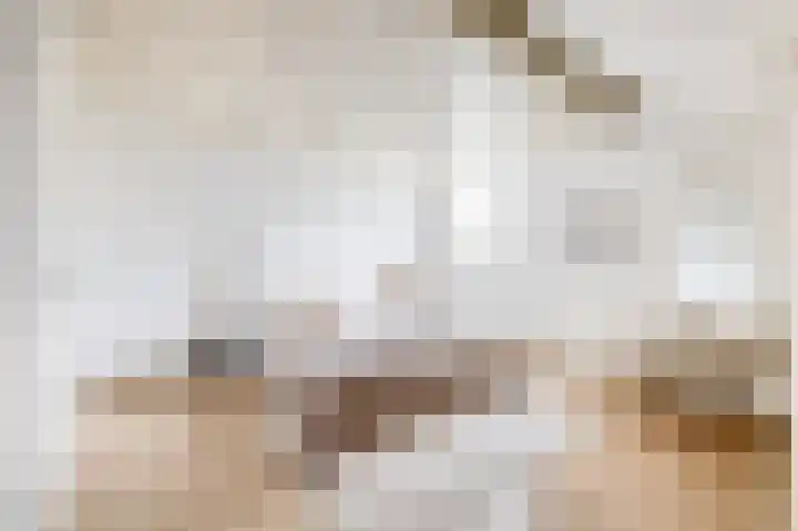 Jeroen Boschstraat 6 Oosterhout thumbnail 4