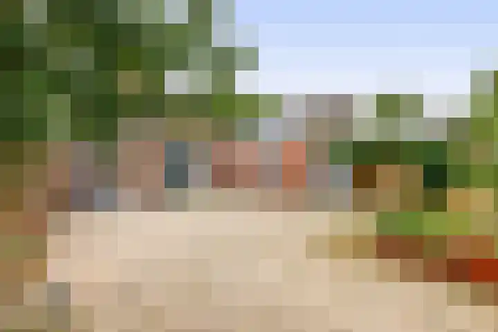 Jeroen Boschstraat 6 Oosterhout thumbnail 5