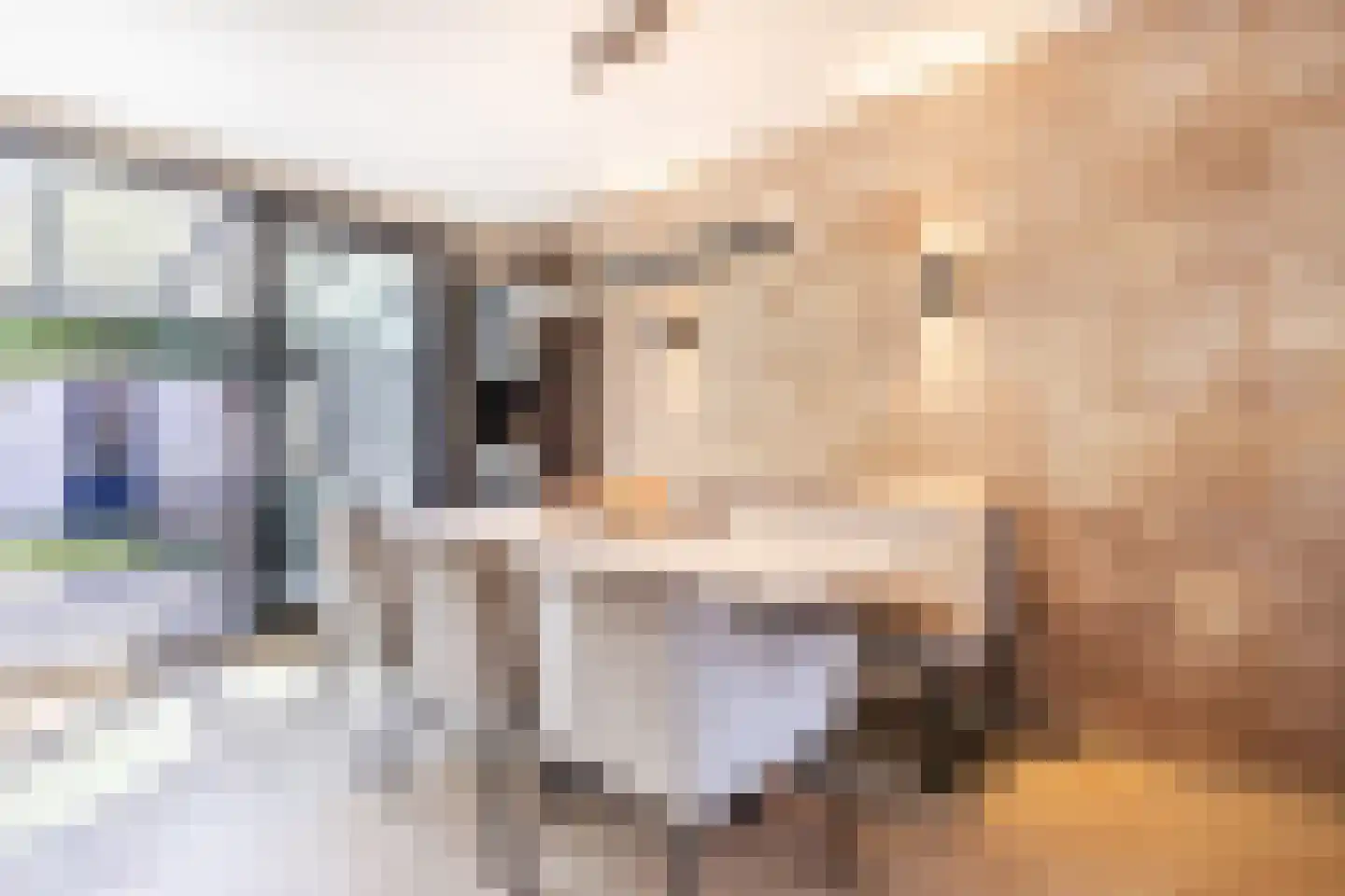 Jeroen Boschstraat 66 Rijen thumbnail 12