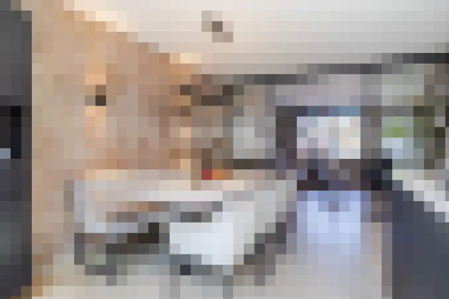 Jeroen Boschstraat 66 Rijen thumbnail 16