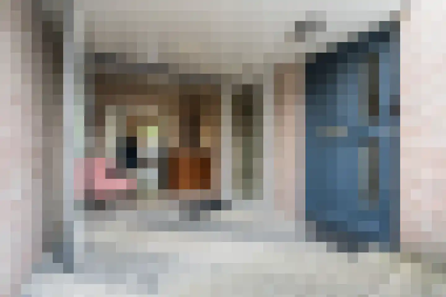 Jeroen Boschstraat 66 Rijen thumbnail 25