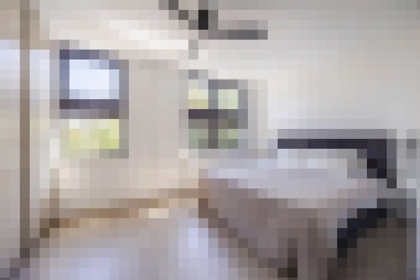 Jeroen Boschstraat 66 Rijen thumbnail 35