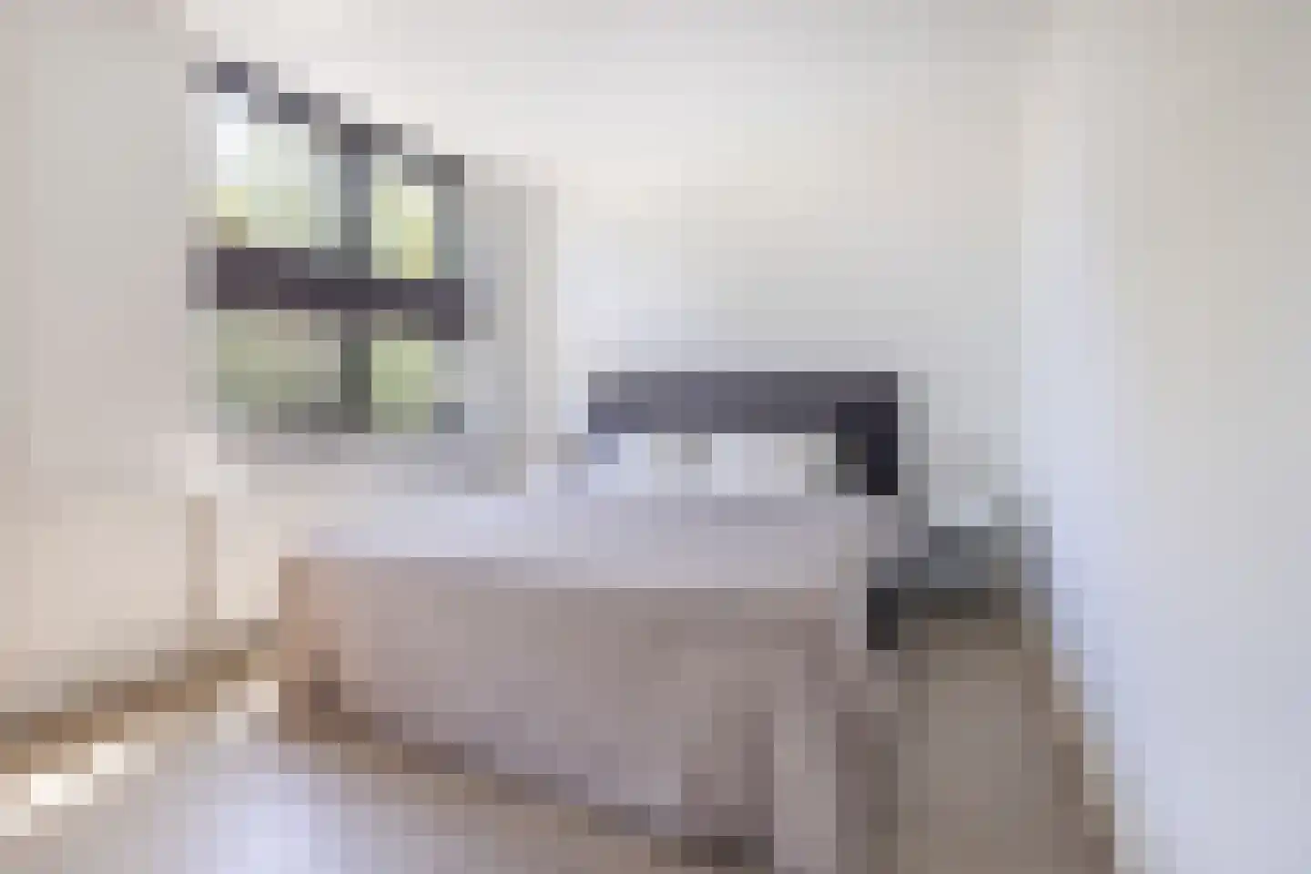 Jeroen Boschstraat 66 Rijen thumbnail 36