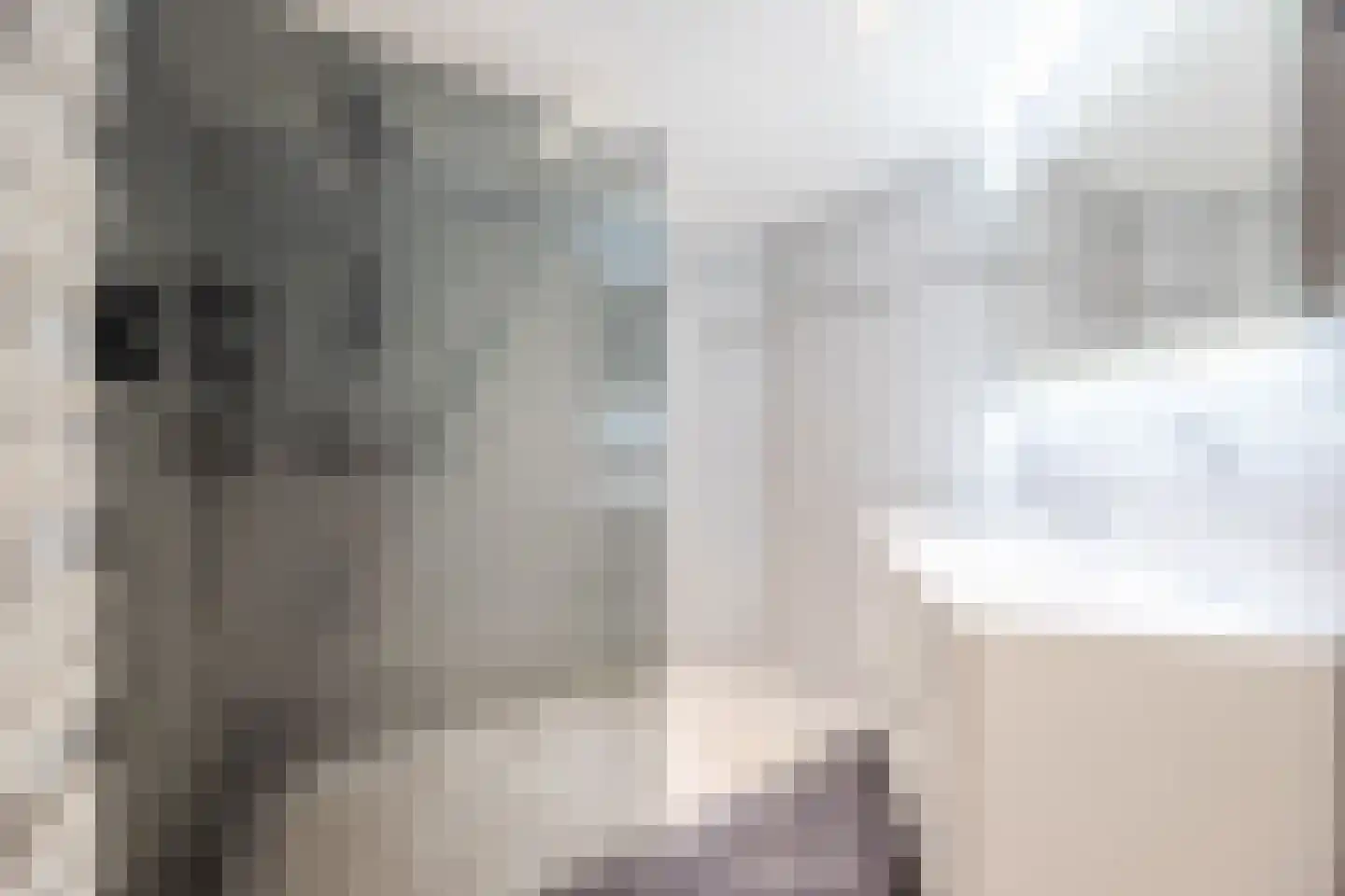 Jeroen Boschstraat 66 Rijen thumbnail 43