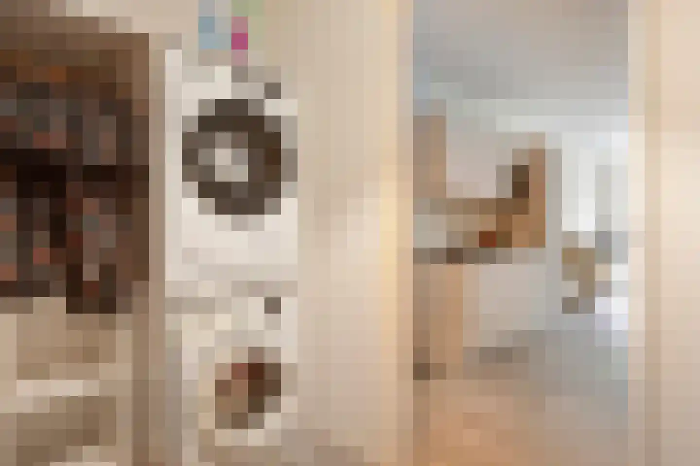 Jeroen Boschstraat 7 Dronten thumbnail 34