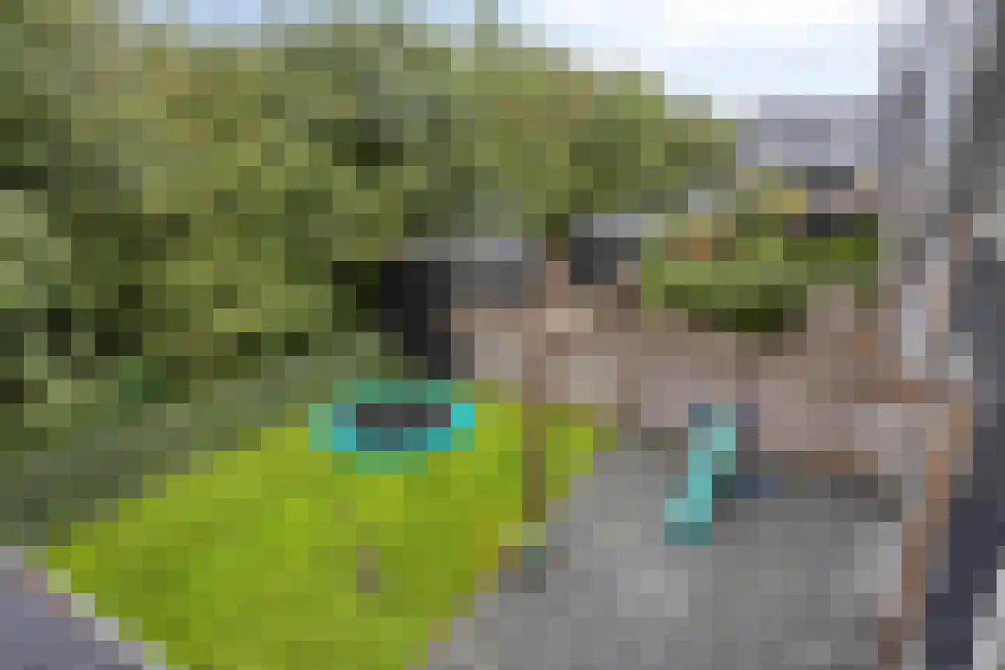 Jeroen Boschstraat 7 Dronten thumbnail 55