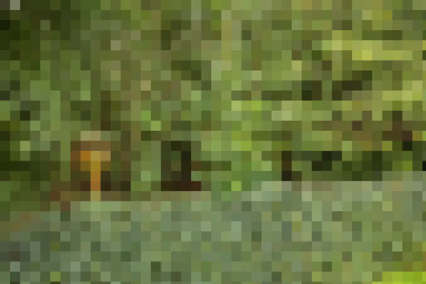 Jeroen Boschstraat 7 Dronten thumbnail 58