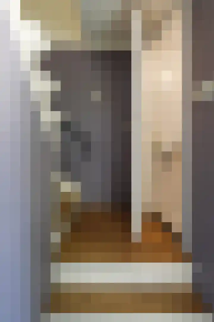 Jeroen Boschstraat 8 Veghel thumbnail 22