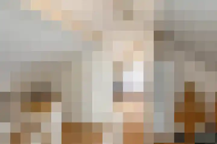 Jeroen Boschstraat 8 Veghel thumbnail 33