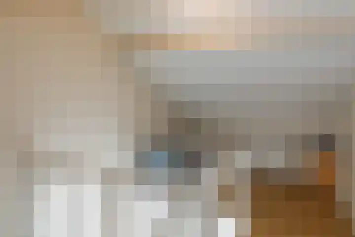 Jeroen Boschstraat 8 Veghel thumbnail 34