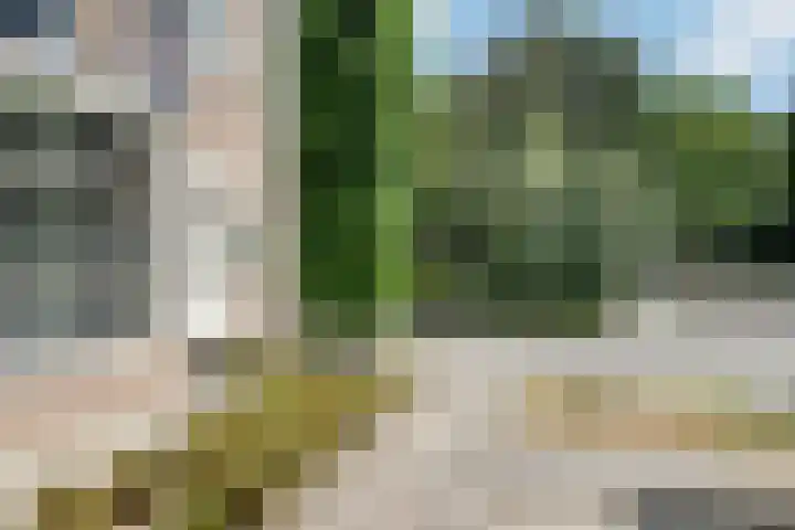Jeroen Boschstraat 8 Veghel thumbnail 40