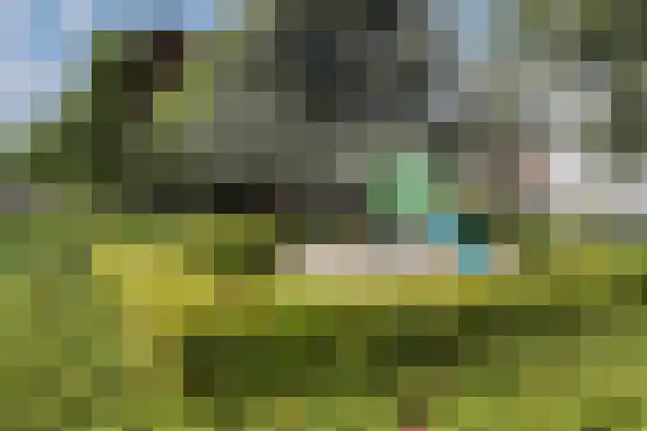 Jeroen Boschstraat 8 Veghel thumbnail 42