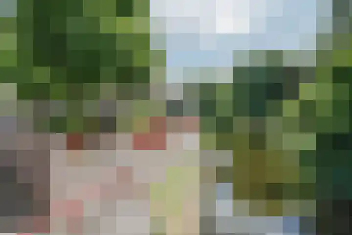 Jeroen Boschstraat 8 Veghel thumbnail 44
