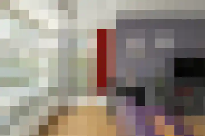 Jeroen Boschstraat 8 Veghel thumbnail 5