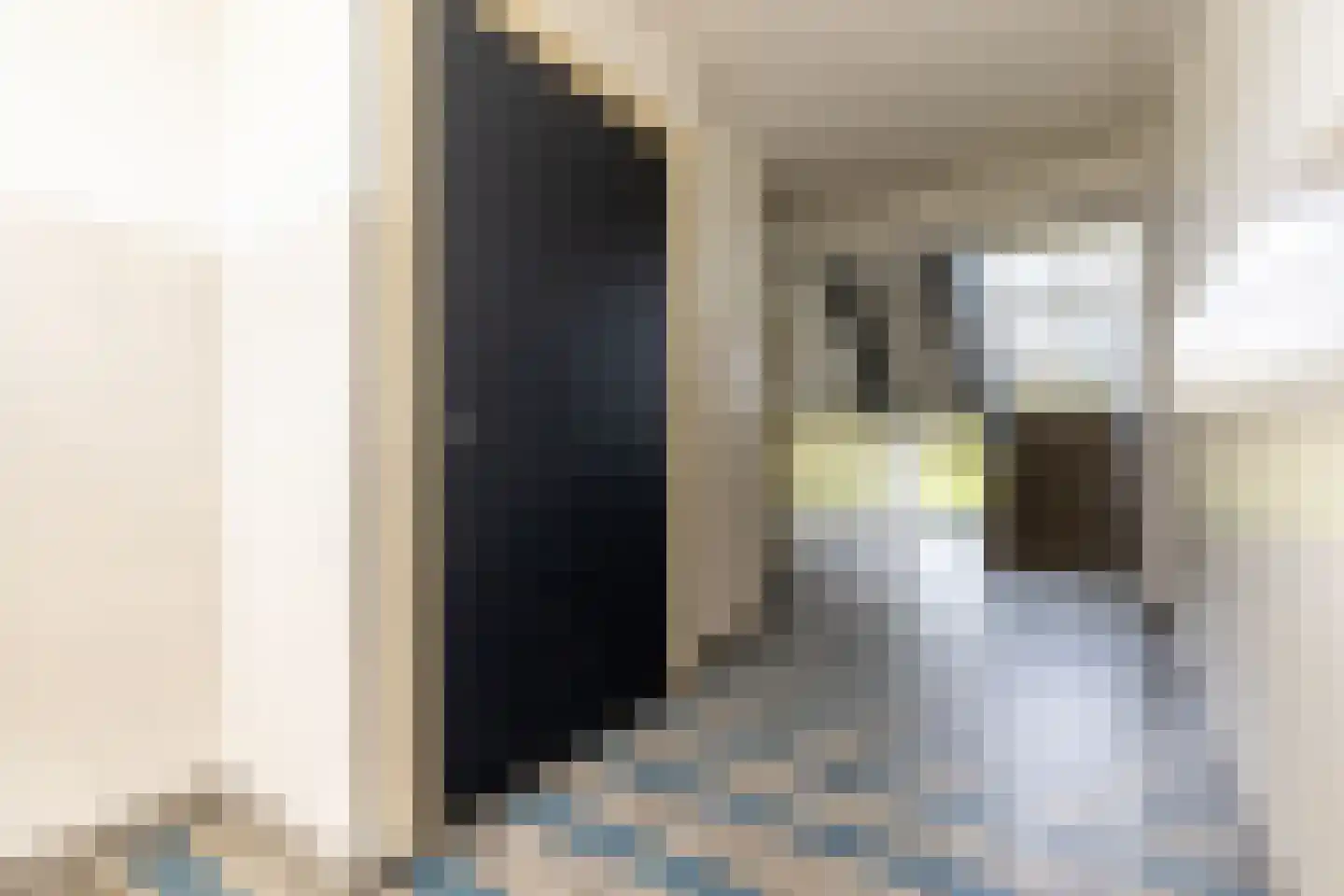 Jeroen Boschstraat 87 Maassluis thumbnail 7
