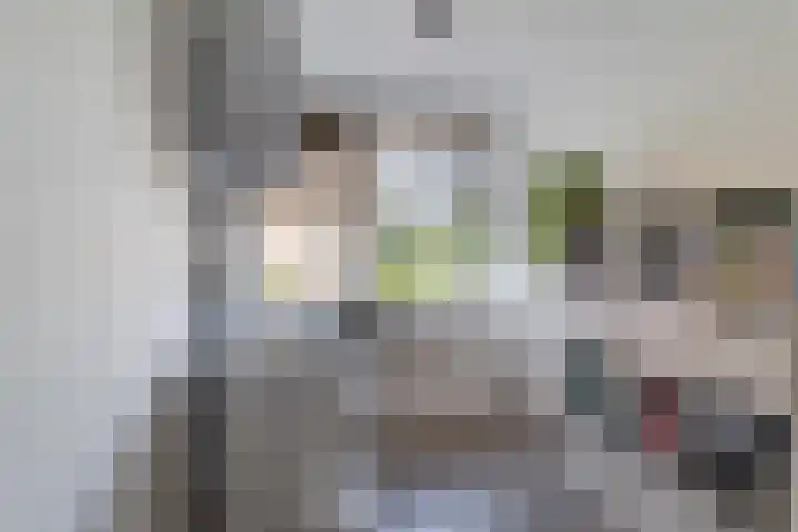 Jeroen Boschstraat 93 Maassluis thumbnail 18