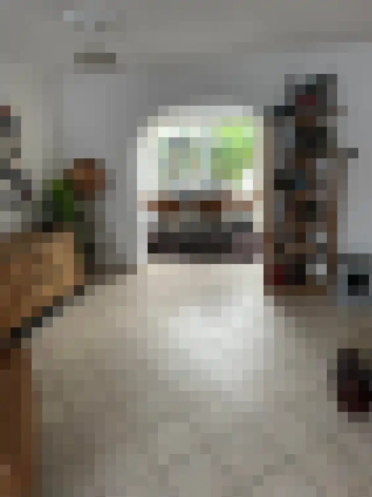 Jeroen Boschstraat Etten-Leur thumbnail 5