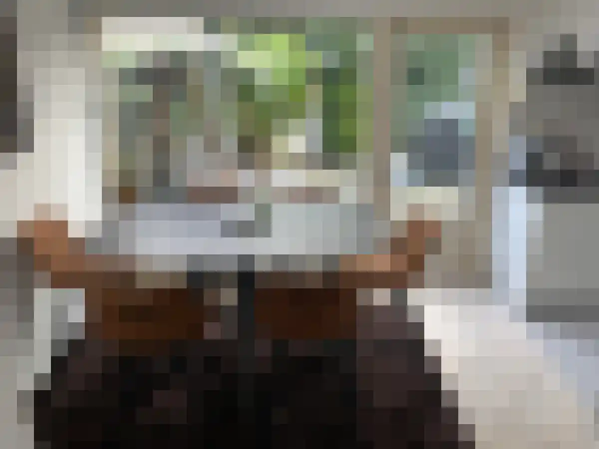 Jeroen Boschstraat Etten-Leur thumbnail 6