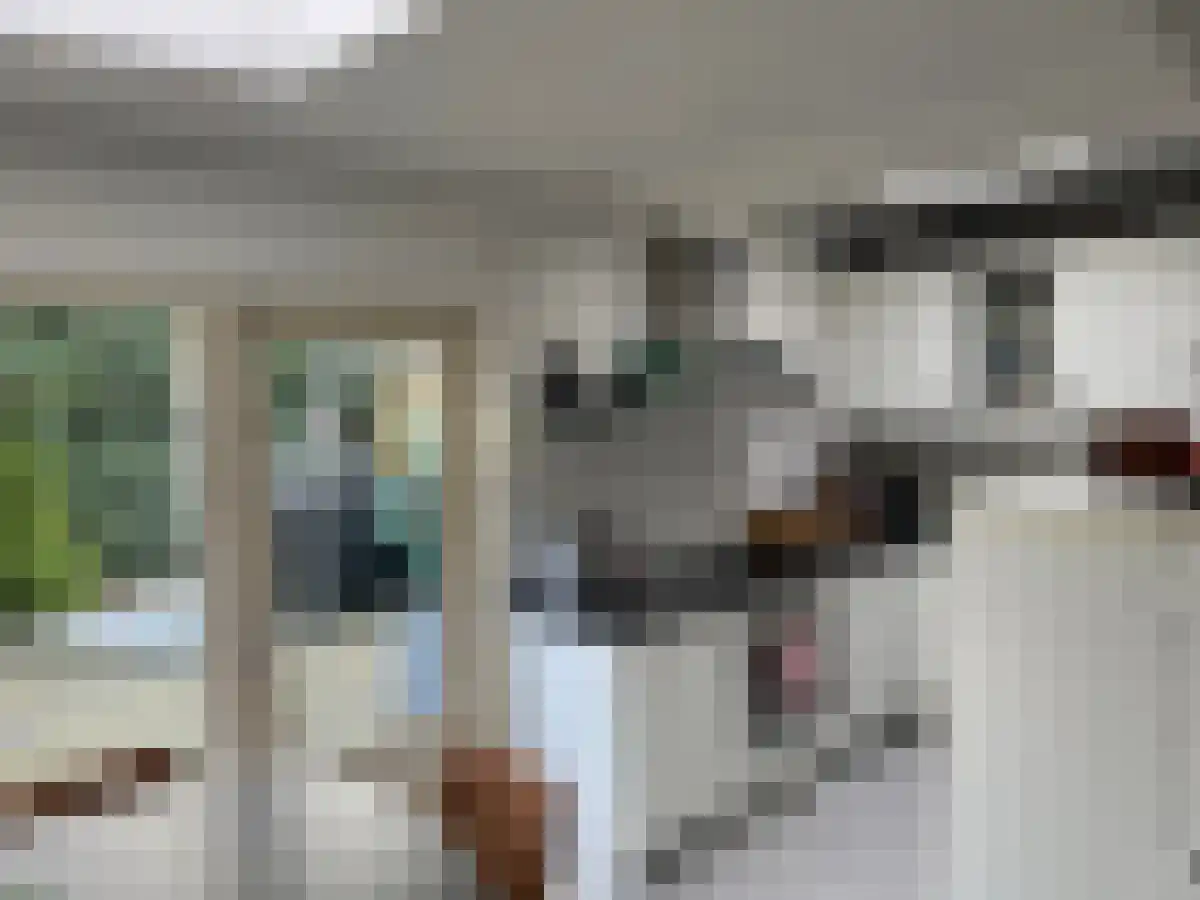 Jeroen Boschstraat Etten-Leur thumbnail 7