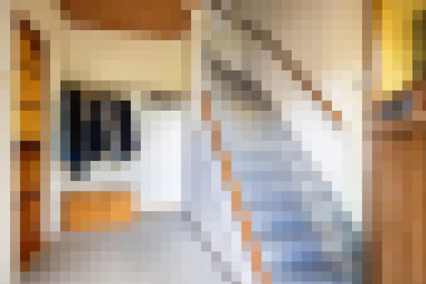 Jerolimodreef 1 Amersfoort thumbnail 13