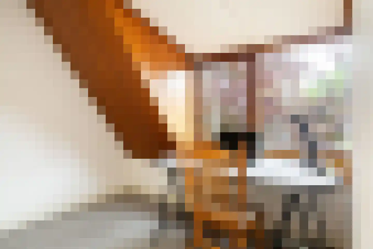 Jerolimodreef 1 Amersfoort thumbnail 18