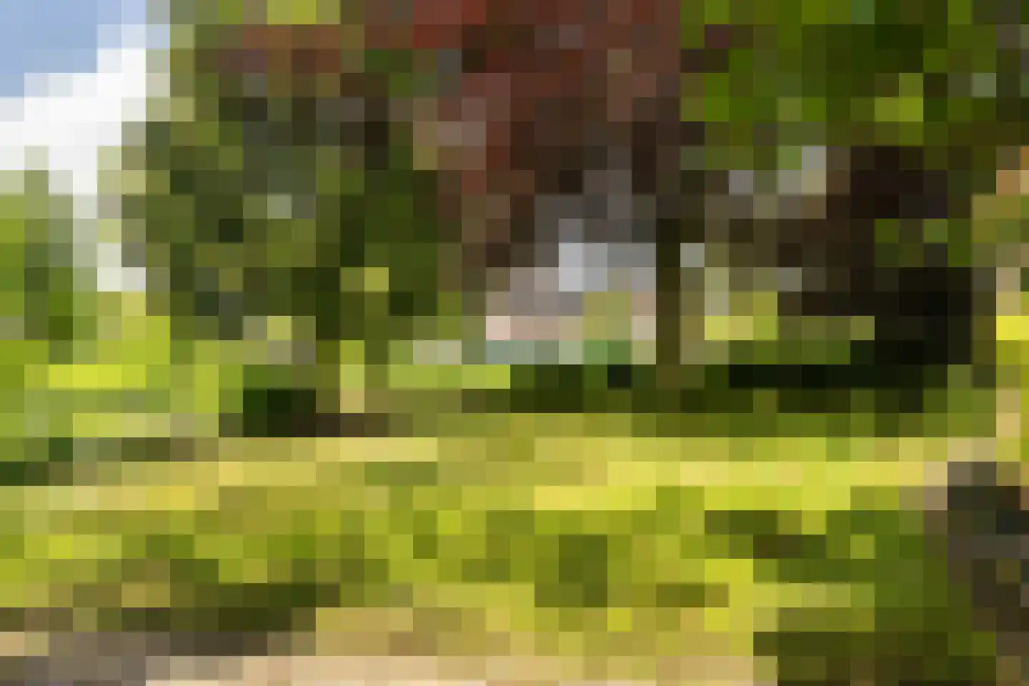 Jerolimodreef 1 Amersfoort thumbnail 28