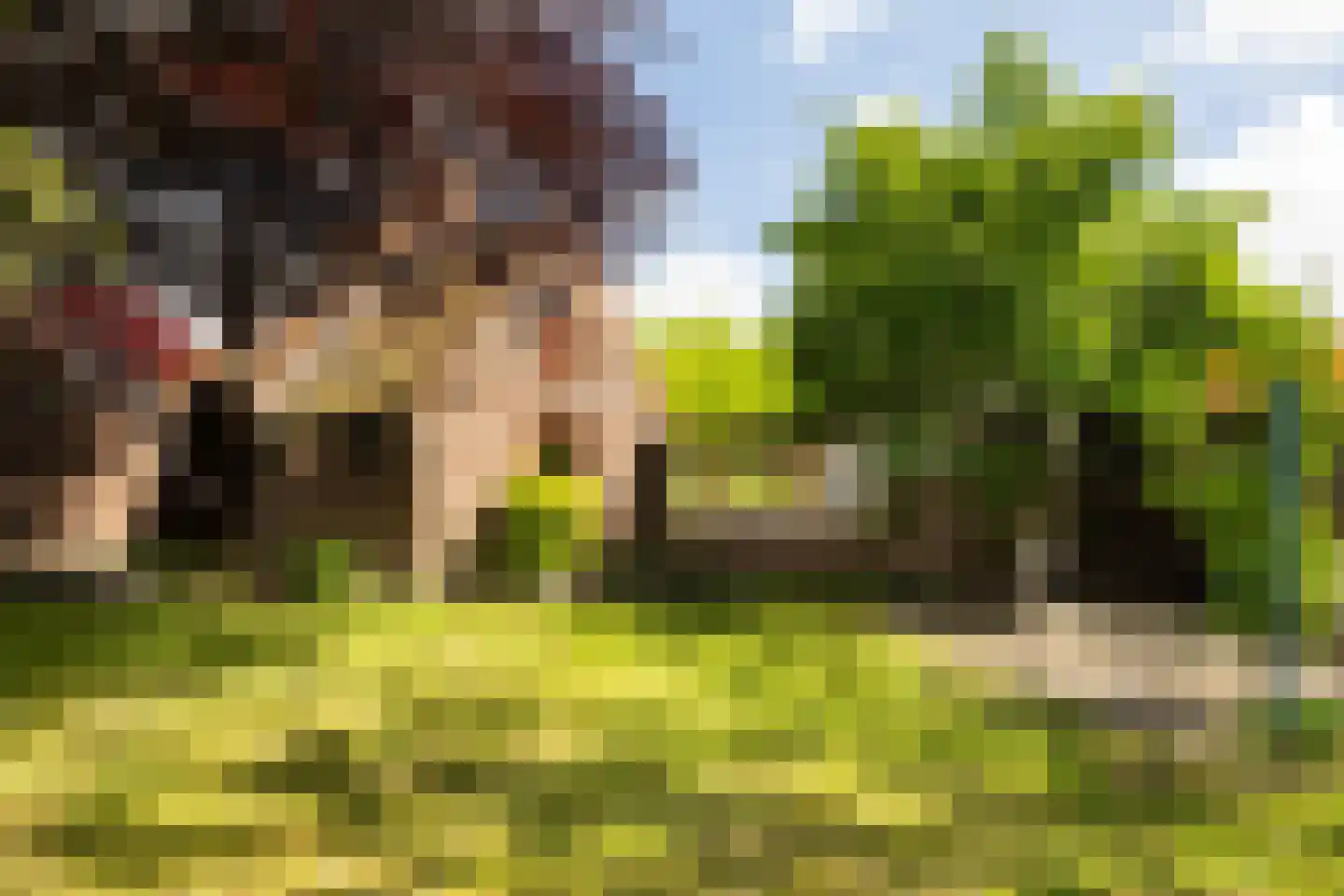 Jerolimodreef 1 Amersfoort thumbnail 30
