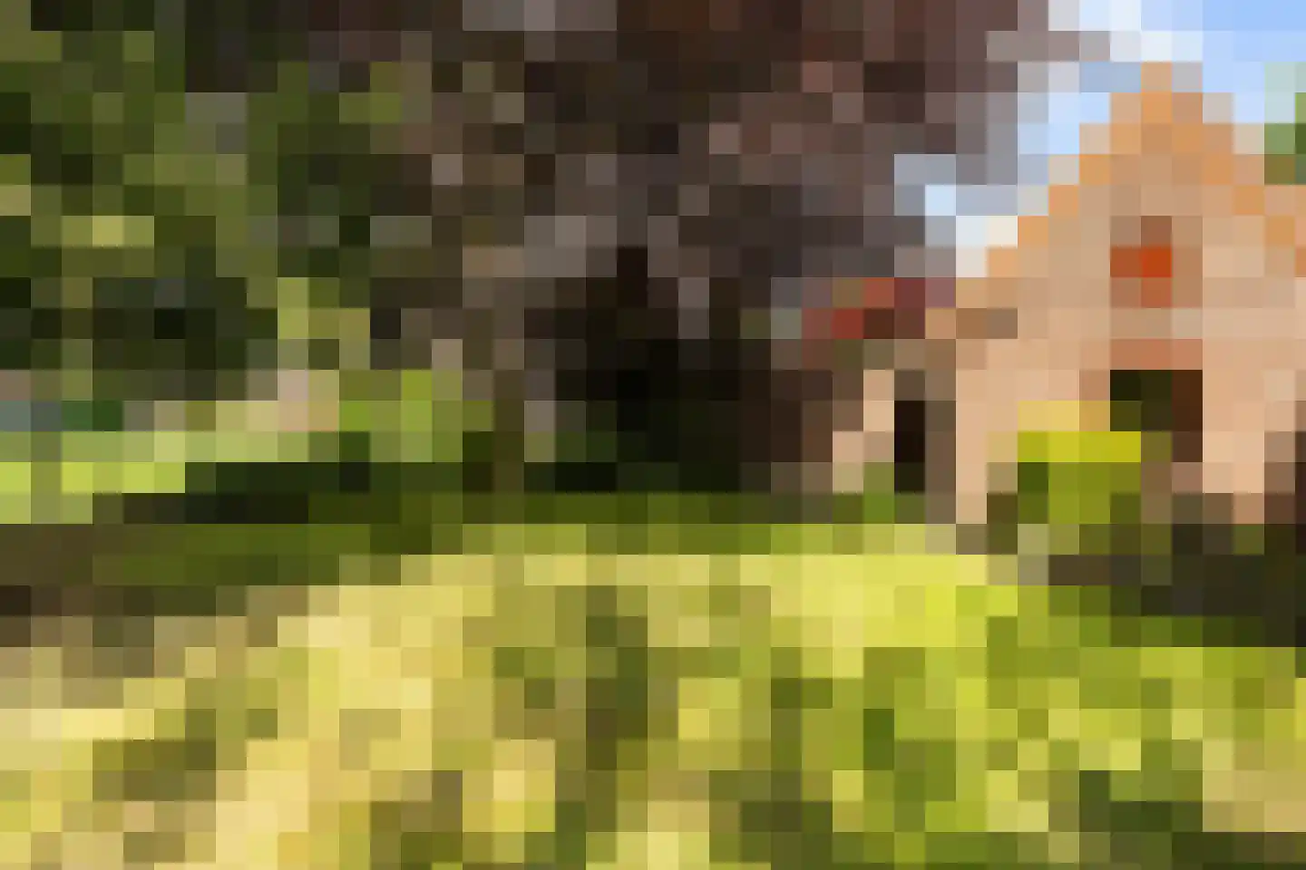 Jerolimodreef 1 Amersfoort thumbnail 31