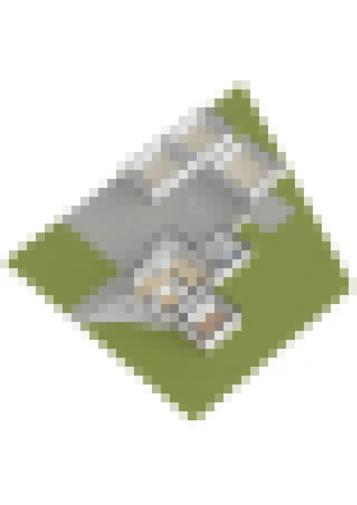 Jerolimodreef 1 Amersfoort thumbnail 50
